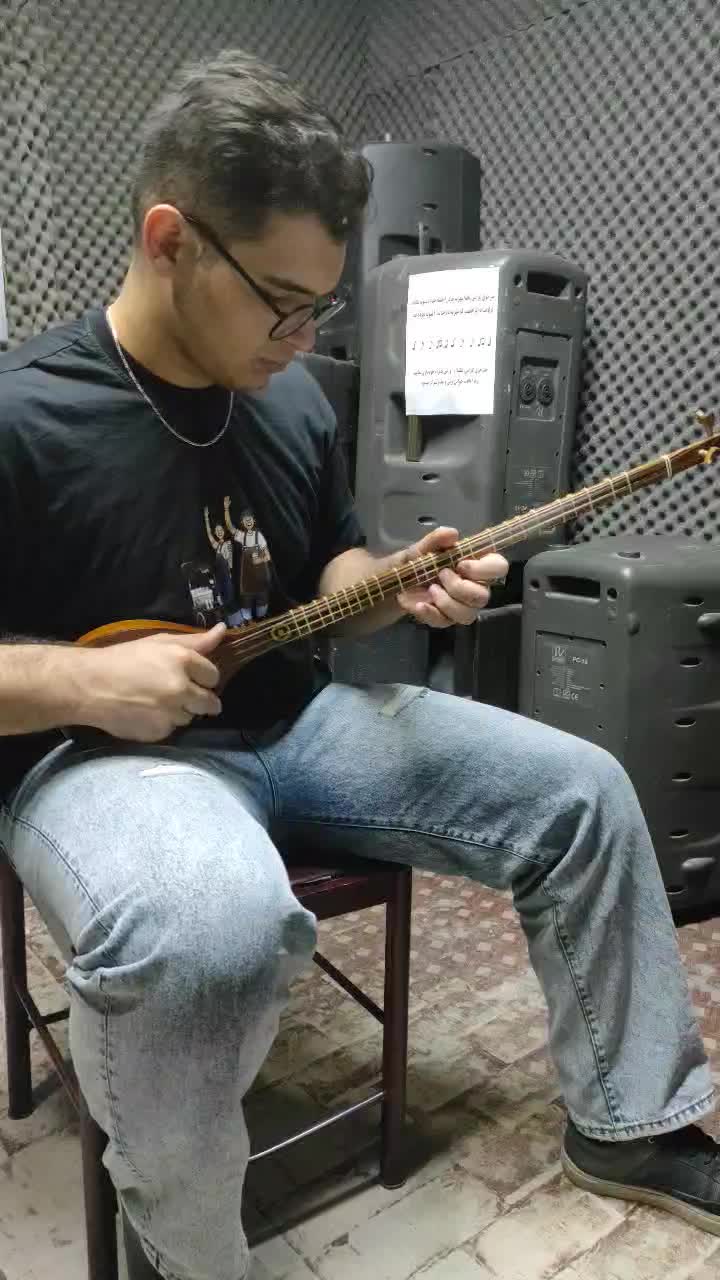 سه تار دیبا همراه هاردکیس|سازهای سنتی|وحیدیه, |دیوار