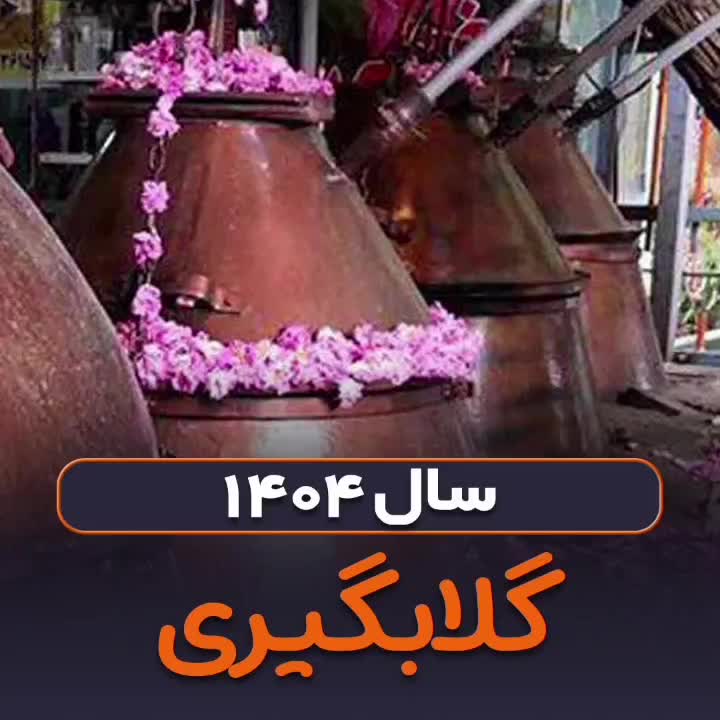 بوقناق شاطره خارمریم خارشتر خارخاخسک و...|خوردنی و آشامیدنی|تهران, فلسطین (میدان انقلاب)|دیوار