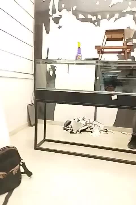 پاچال ویترین|بوفه، ویترین، کنسول|مشهد, استاد یوسفی (شهرک غرب)|دیوار