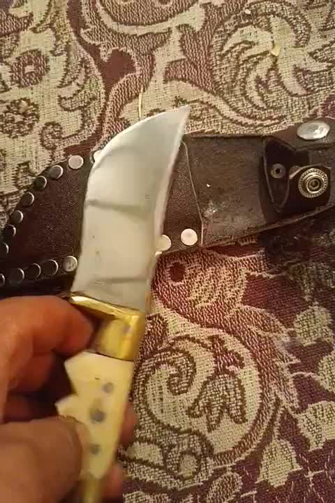 فروشی|کوهنوردی و کمپینگ|گرگان, |دیوار