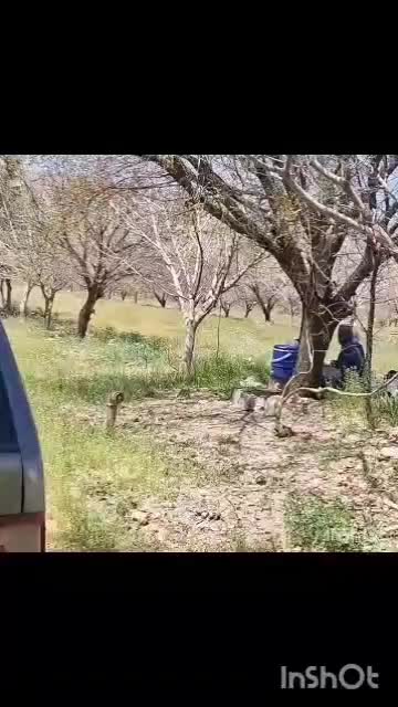 باغشهری ۱۰۰۰متری ،سیخ دارنگون مجموعه شخصی|فروش زمین و ملک کلنگی|شیراز, جانبازان|دیوار