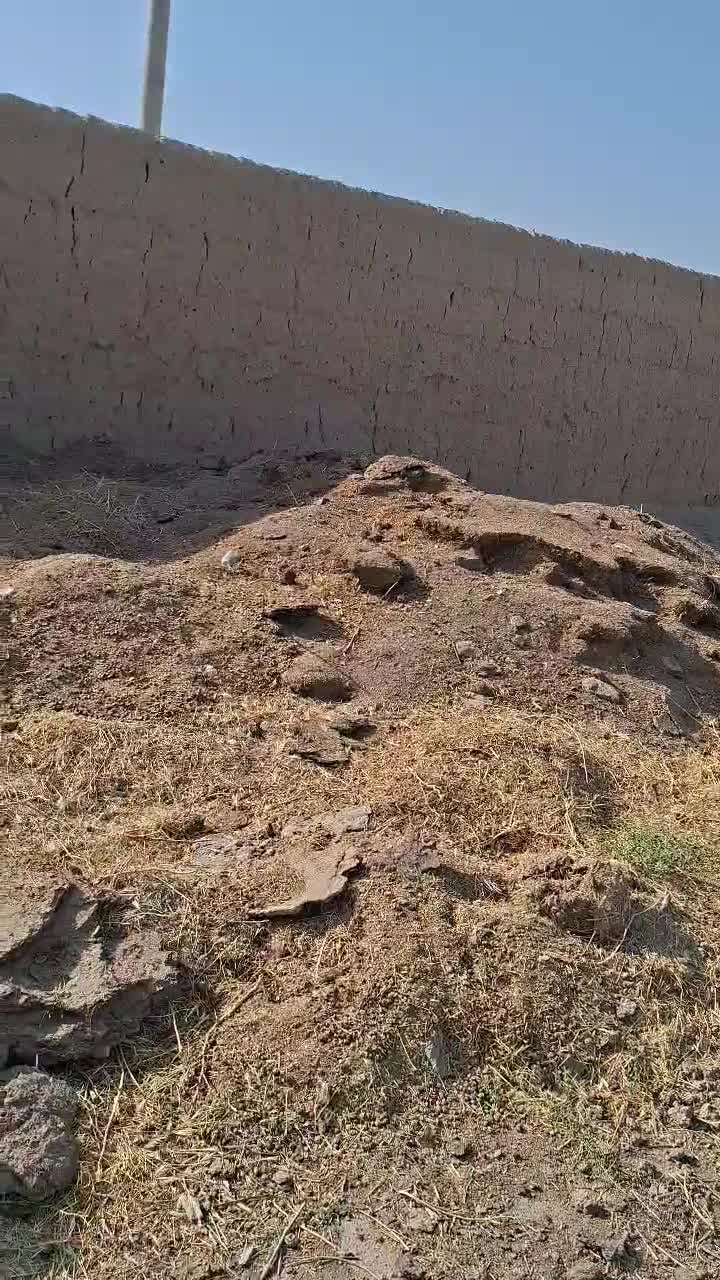 حراج کود دامی گوسفندی حراجی|حراج|اسفراین, |دیوار