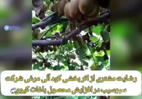 خبرخوب برای کشاورزان،باغداران(حتی گل‌ آپارتمانی)|خدمات باغبانی و درختکاری|رشت, پل تالشان|دیوار
