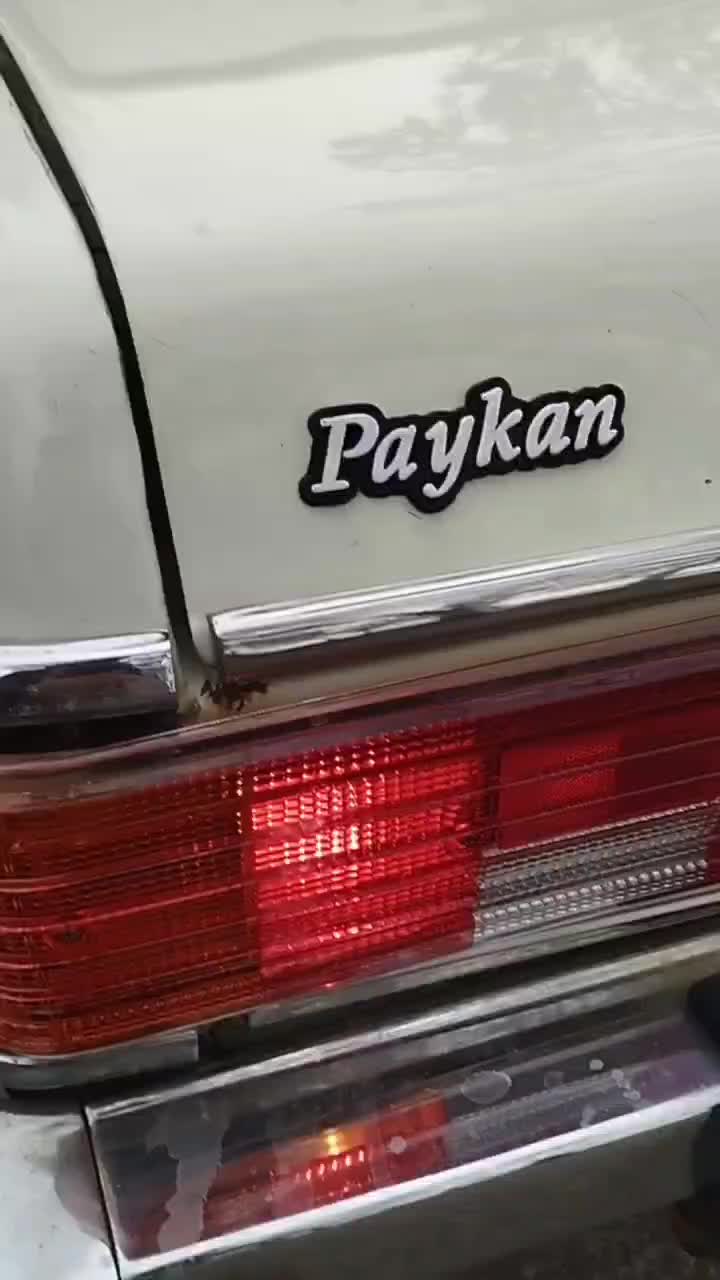 پیکان82عتیقه|خودرو سواری و وانت|تبریز, |دیوار