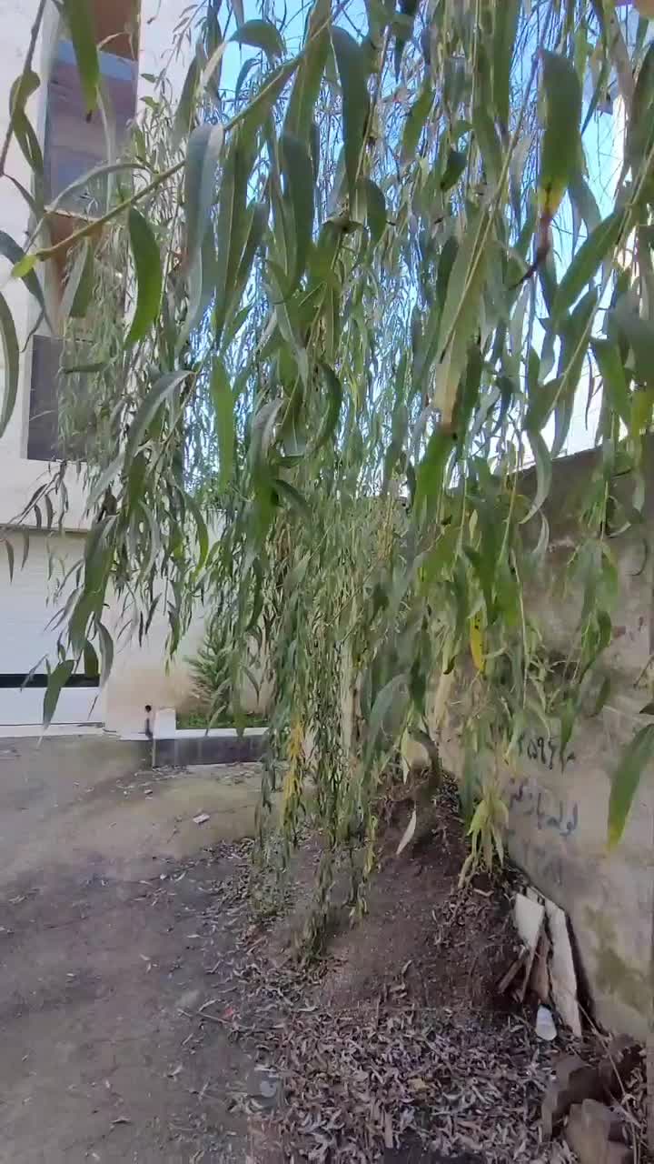 ۳خواب‌نوساز۱۴۹مترتک‌واحدی پارک‌شهر|فروش آپارتمان|رشت, پارک شهر|دیوار