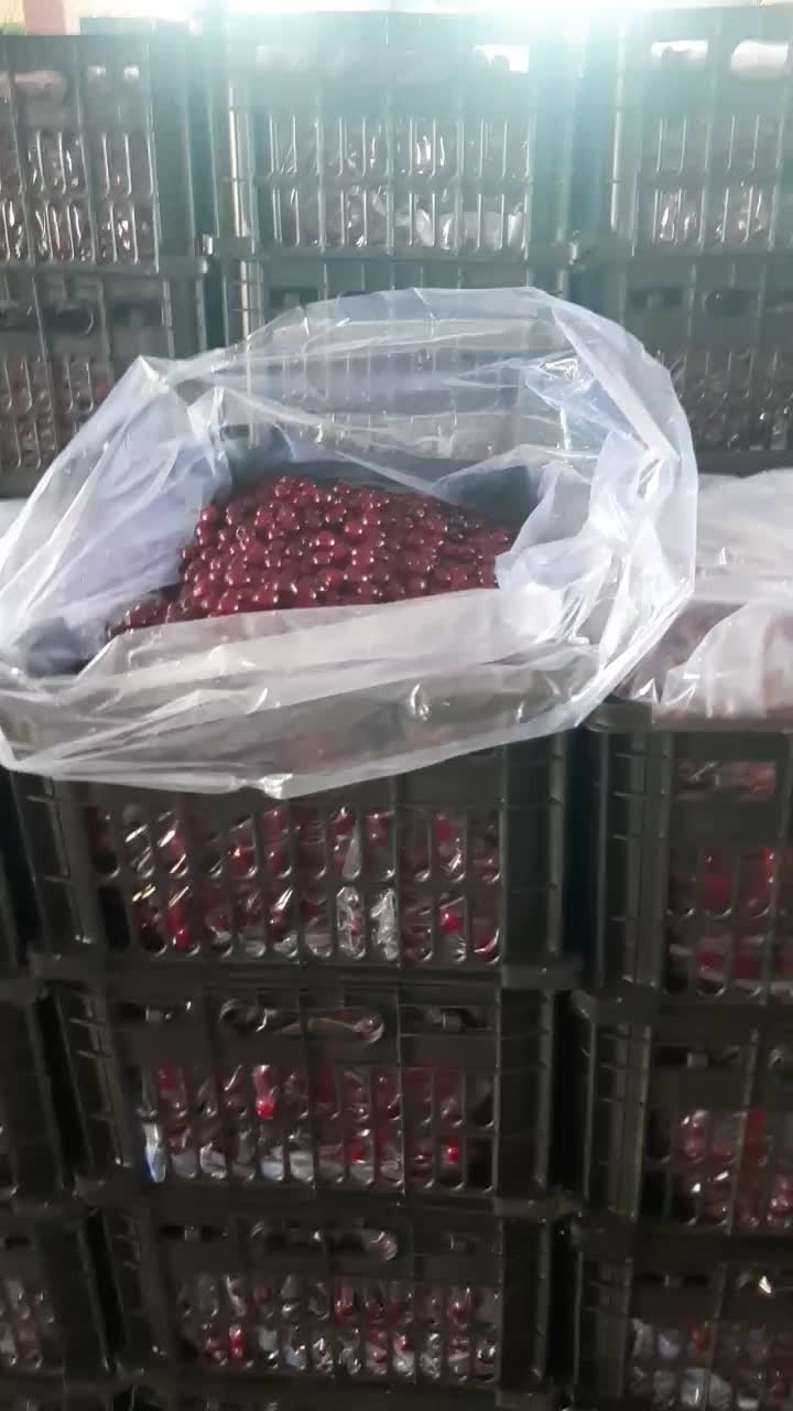 آب انار فریزشده طبیعی|خوردنی و آشامیدنی|تهران, امیر بهادر|دیوار
