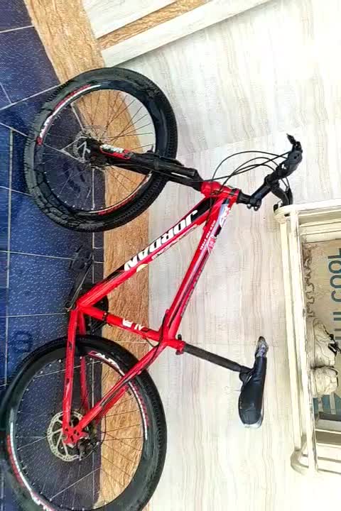 سوسنگرد خزعلیه بلوار شورا مقابل طعمه پور|دوچرخه، اسکیت، اسکوتر|سوسنگرد, |دیوار