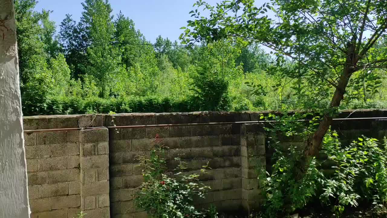 اجاره مسکونی در رشت|اجارهٔ خانه و ویلا|طاهرگوراب, |دیوار