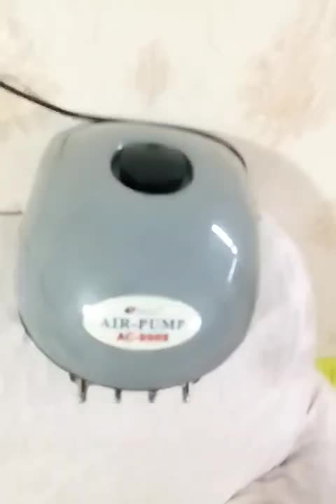 پمپ اکواریوم|ماهی|همدان, |دیوار