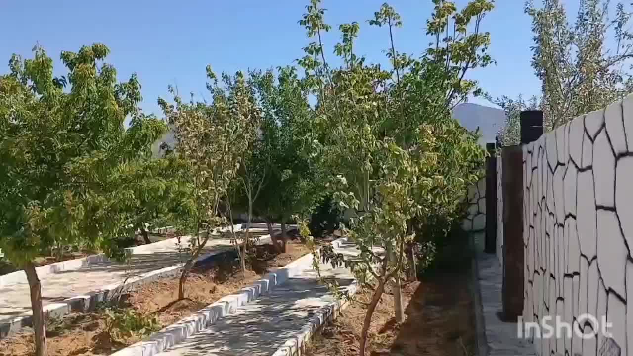 فروش ۶۵۰متر باغ شهر طالخونچه صحرای عبدل|فروش مغازه و غرفه|مبارکه, |دیوار