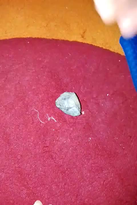 سنگ های زینتی|کلکسیون اشیاء عتیقه|تهران, باغ خزانه|دیوار