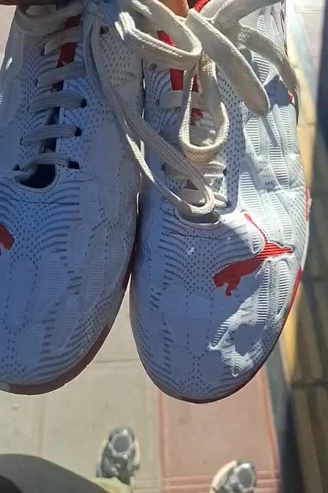 کفش سالن|کیف، کفش، کمربند|بیرجند, |دیوار