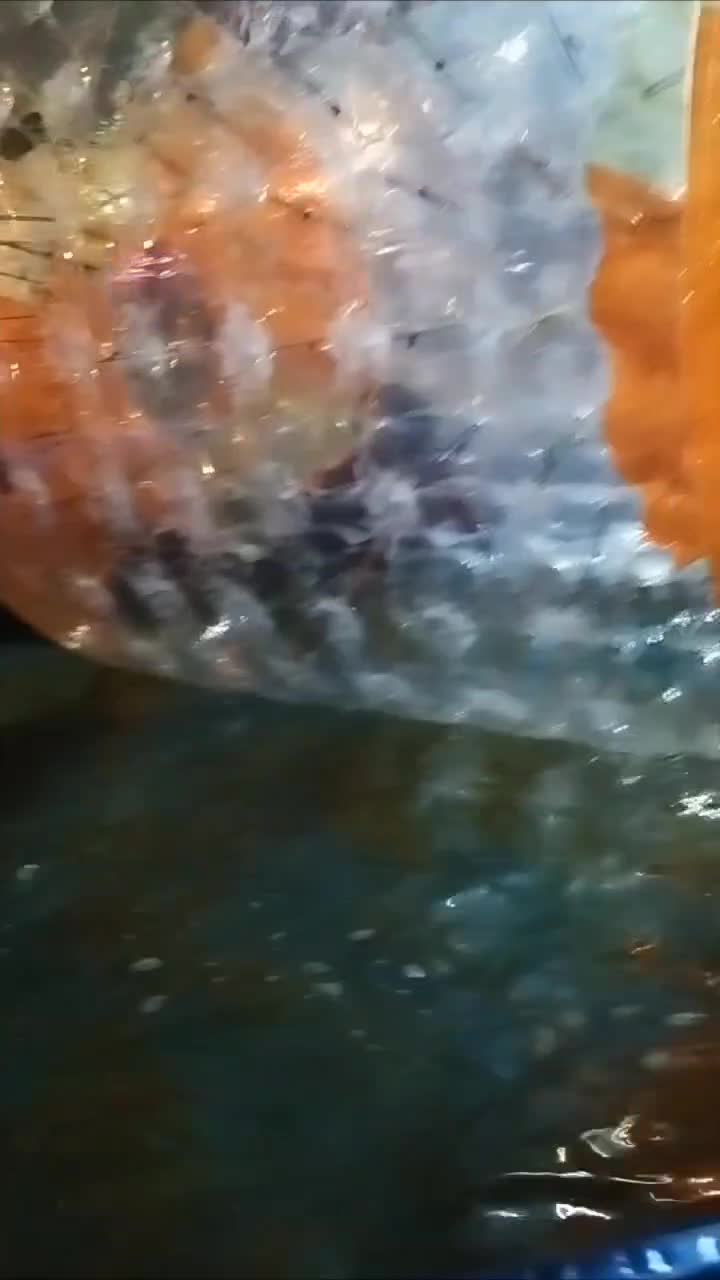 واگذاری پارک آبی|اسباببازی|بندر کنگان, |دیوار