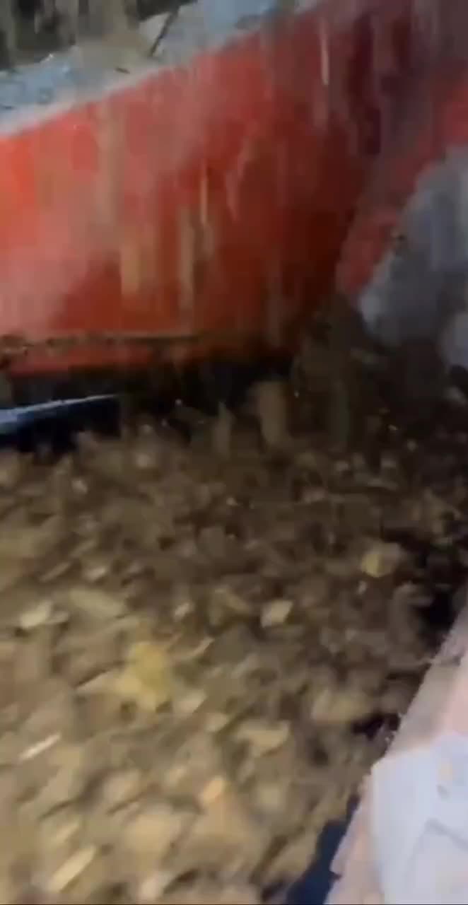 ذرت علوفه ای بسته بندی چاپر پردان درجه یک.|عمده‌فروشی|سبزوار, طبرسی (جعفرآباد)|دیوار