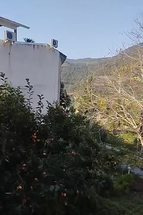 زمین ویلایی مسکونی کلاکوب مفت مفت|فروش زمین و ملک کلنگی|مشهد, کلاکوب|دیوار