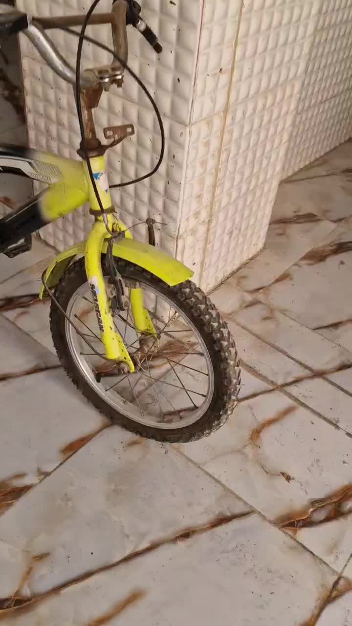 فروش چرخ 16|دوچرخه، اسکیت، اسکوتر|جم, |دیوار