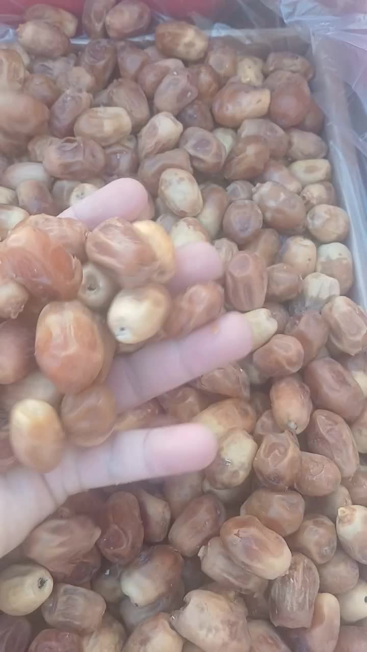 خرمای زاهدی|عمدهفروشی|فراشبند, |دیوار