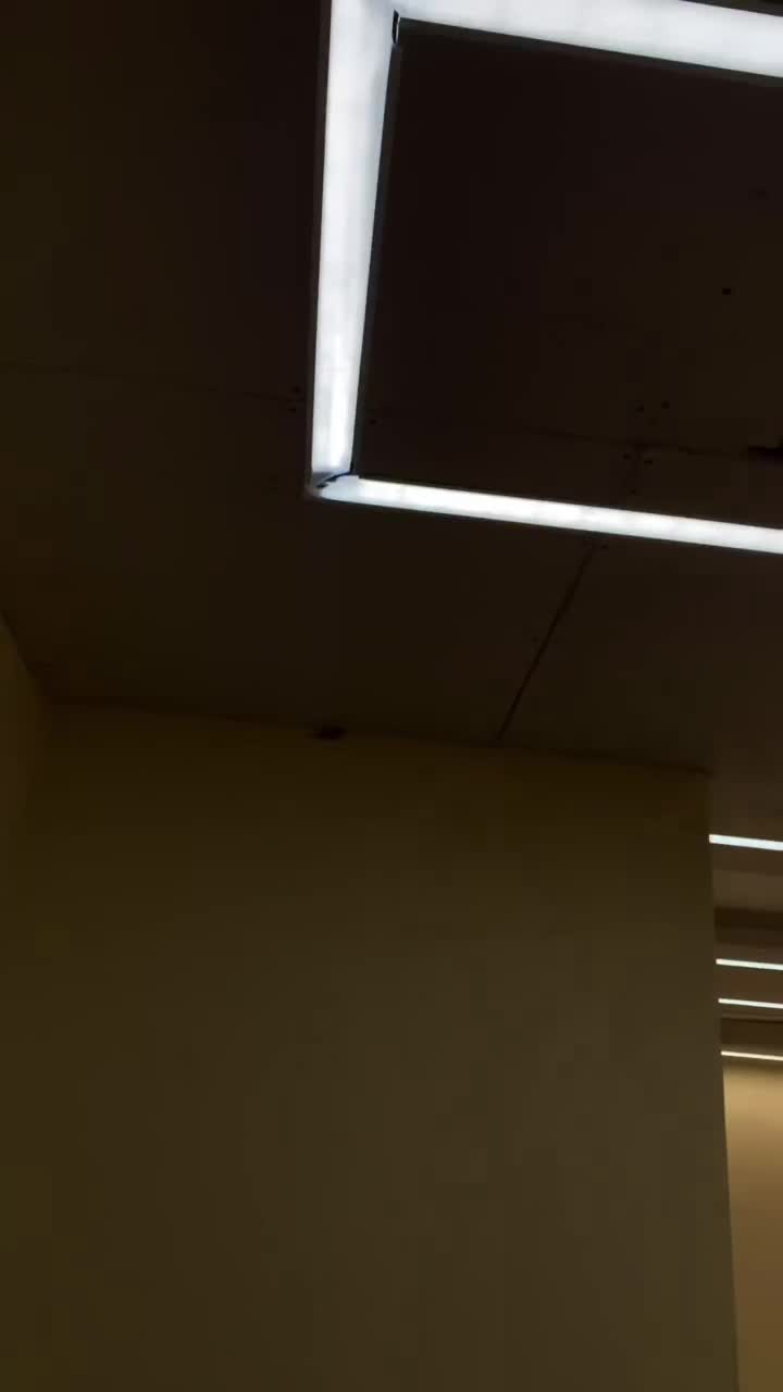 انجام کلیه خدمات کناف و نورپردازی  لاین نوری|خدمات پیشه و مهارت|پردیس, فاز ۸|دیوار