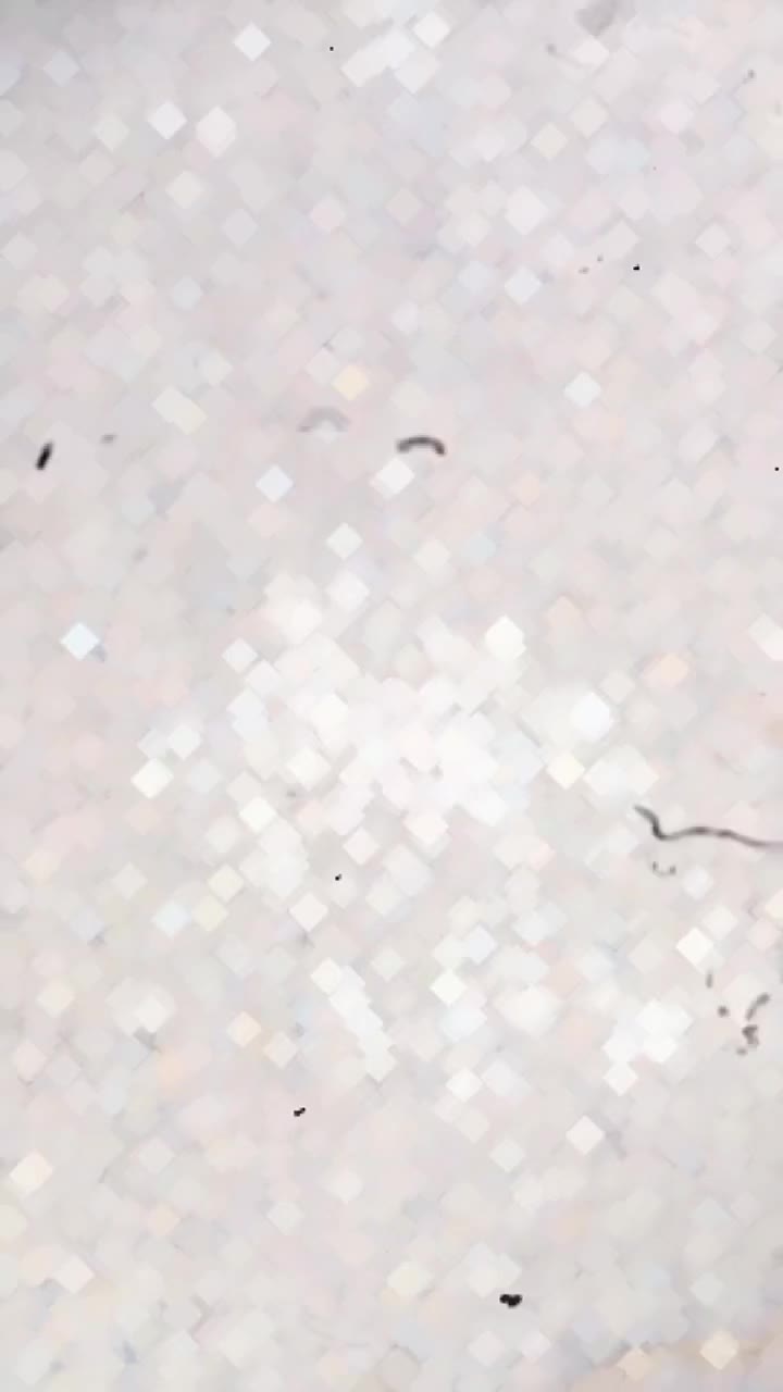 هندا مدل 88 عروسک نیکتاز|موتورسیکلت|هشتگرد, شهرک وحدت|دیوار