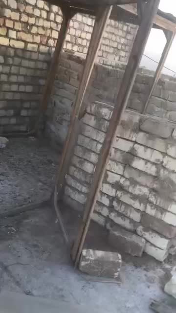 گنجه کفتر|لوازم جانبی حیوانات|کویرات, |دیوار