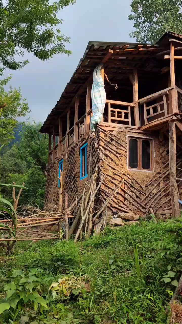 اجاره کلبه جنگلی|اجارهٔ کوتاهمدت ویلا و باغ|املش, |دیوار