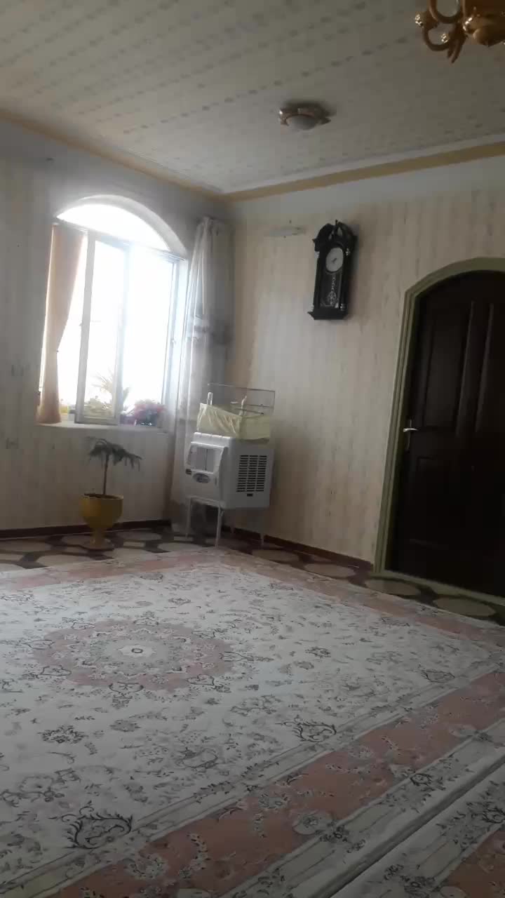 قناری نربادهن.بخون. مست|پرنده|اردبیل, |دیوار