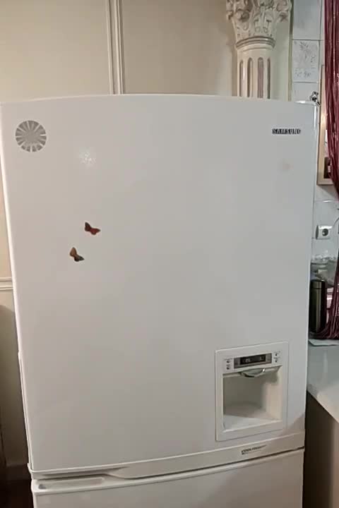 یخچال فریزر سامسونگ کره ای اصل|یخچال و فریزر|شاهینشهر, سعدی جنوبی|دیوار