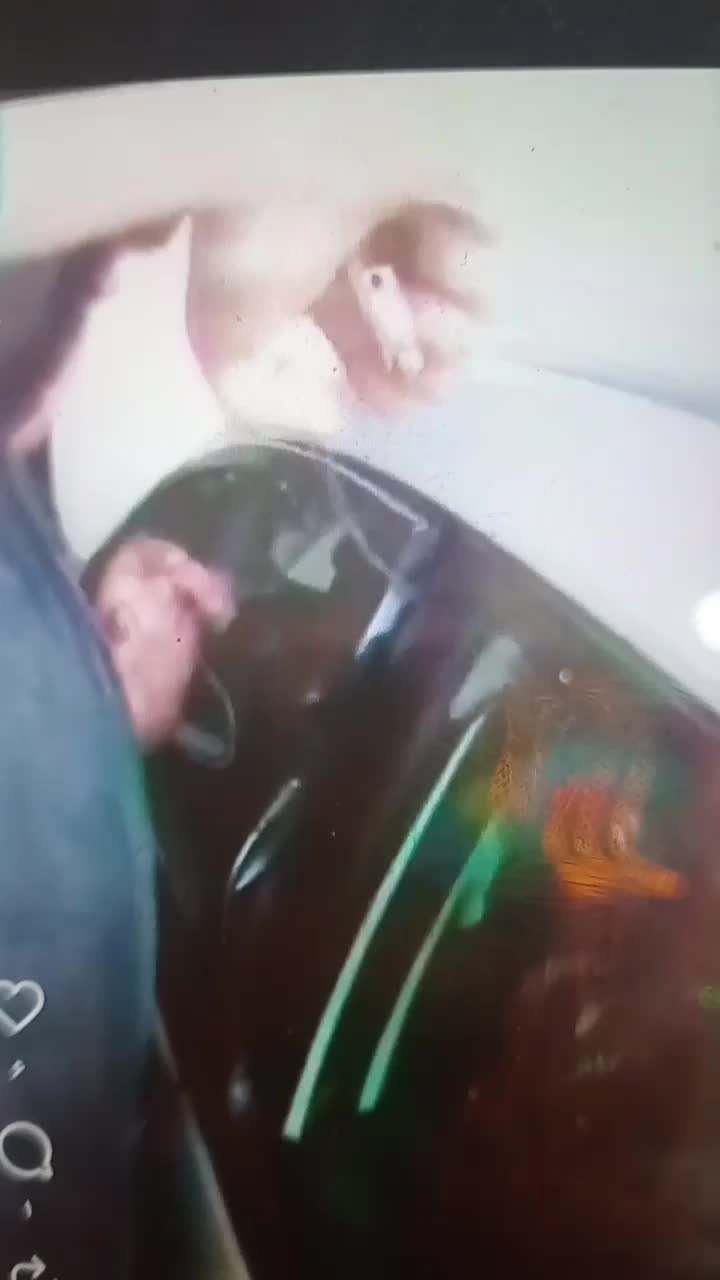 باز کردن وتعمیرات در و شیشه بالابر|خدمات پیشه و مهارت|گرگان, |دیوار