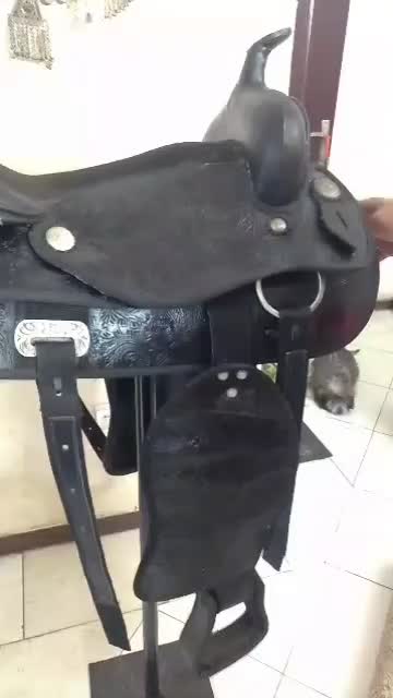 زین کابویی|اسب و تجهیزات اسب‌سواری|پاکدشت, پاکدشت (مامازند)|دیوار