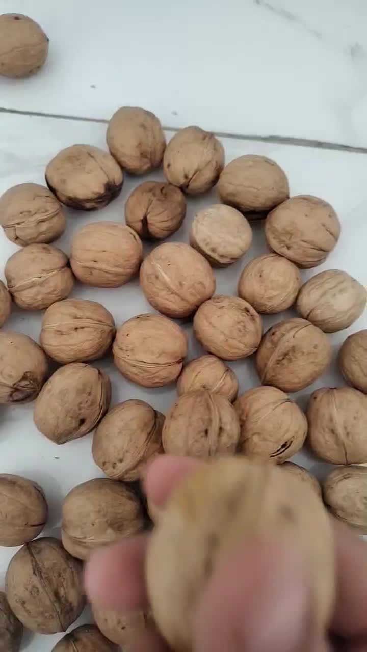 گردو پوست نازک وکاغذی|خوردنی و آشامیدنی|قم, سید معصوم|دیوار
