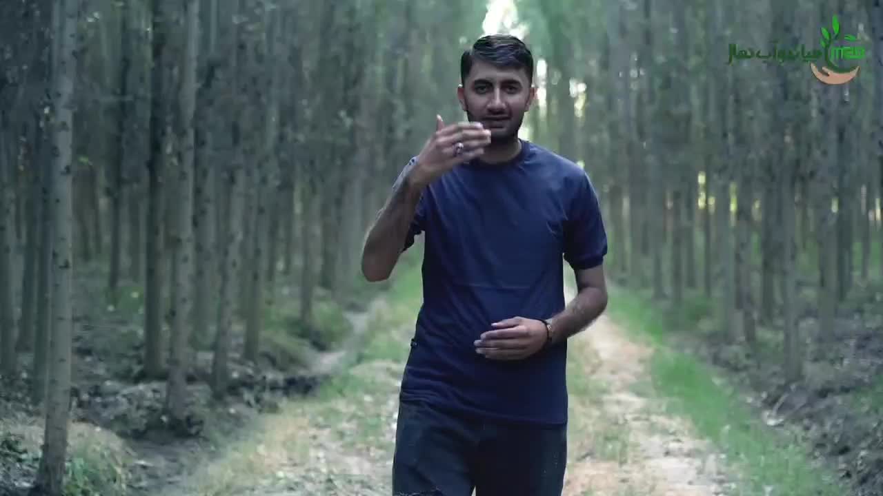 توزیع نهال سپیدار|خدمات باغبانی و درختکاری|اشنویه, |دیوار