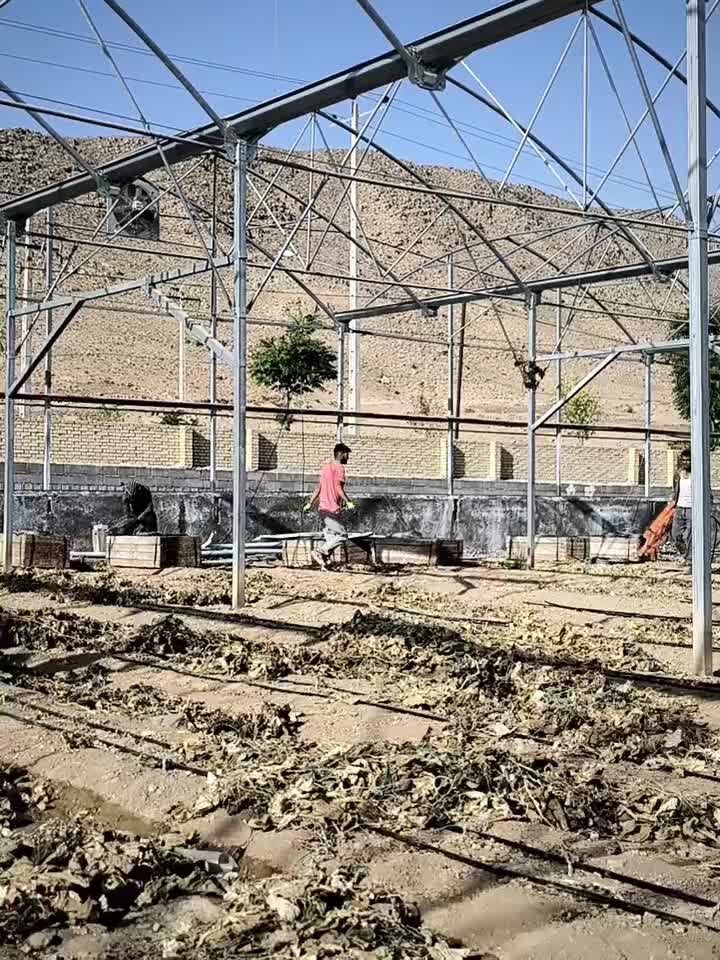 گلخانه صنعتی گالوانیزه در حد نو،طرح گاتیک3060متر|عمدهفروشی|فریمان, |دیوار