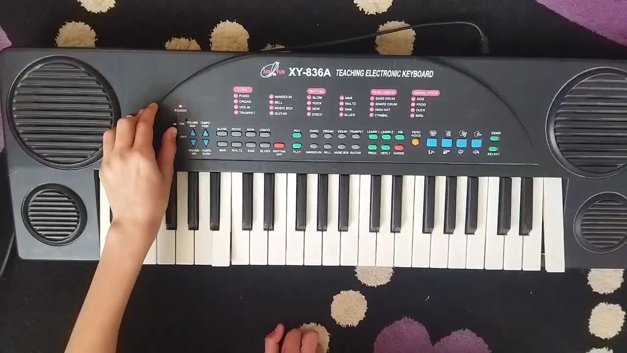 ارگ|پیانو، کیبورد، آکاردئون|گلبهار, شهر جدید گلبهار|دیوار