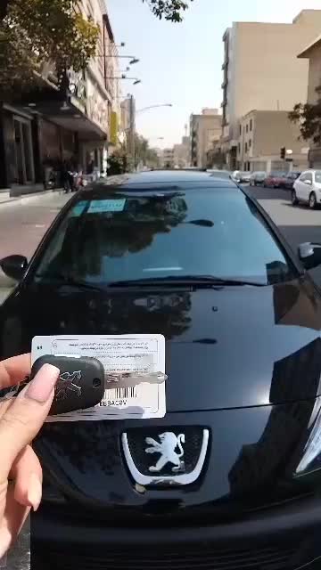 207 سقف فلز /TU5/صفر خشک تحویل فوری|خودرو سواری و وانت|تهران, صادقیه|دیوار