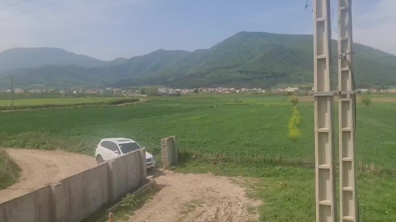 دامداری صنعتی|فروش دفتر صنعتی، کشاورزی، تجاری|گنبد کاووس, |دیوار