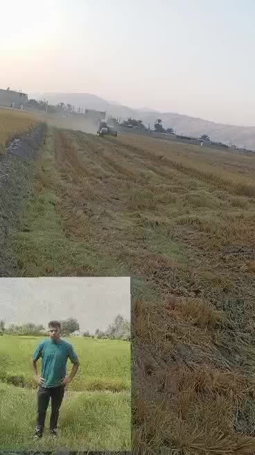 کمباین زنجیر ی|خودرو سنگین|نورآباد ممسنی, |دیوار