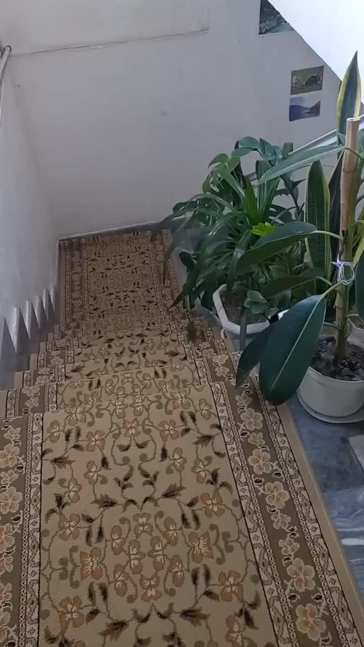 اجاره آپارتمان ۱۳۰متر۲خواب تازه آباد کوچه ابریشم|اجارهٔ آپارتمان|رشت, تازه آباد|دیوار
