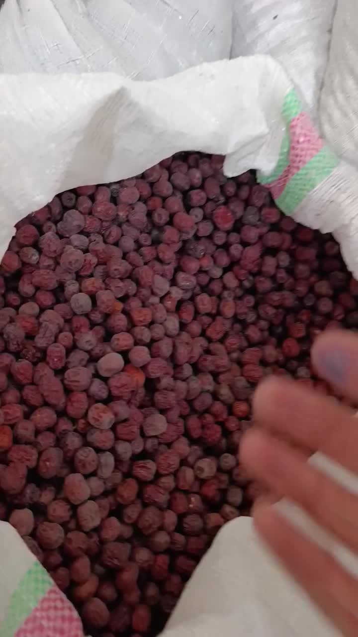 عناب دمنوشی بیرجند بلوار شعبانیه بدون خرابی دارویی|عمدهفروشی|بیرجند, |دیوار