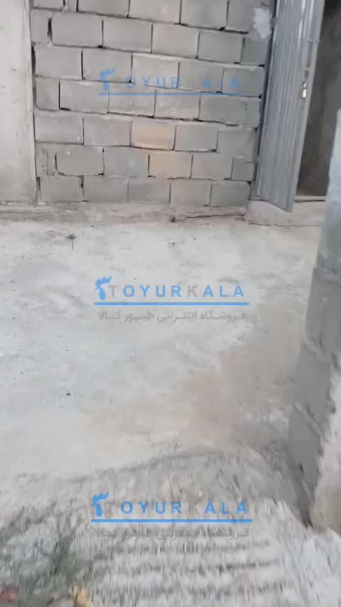 انواع باکس قفس|لوازم جانبی حیوانات|اردکان, |دیوار