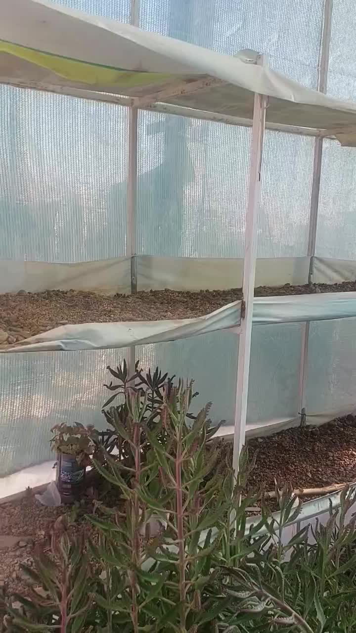 سازه آهنی|مصالح و تجهیزات ساختمان|کنگاور, |دیوار