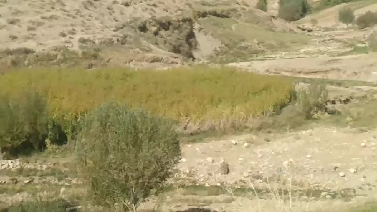 جارو ذراتی|لوازم نظافت|الشتر, |دیوار