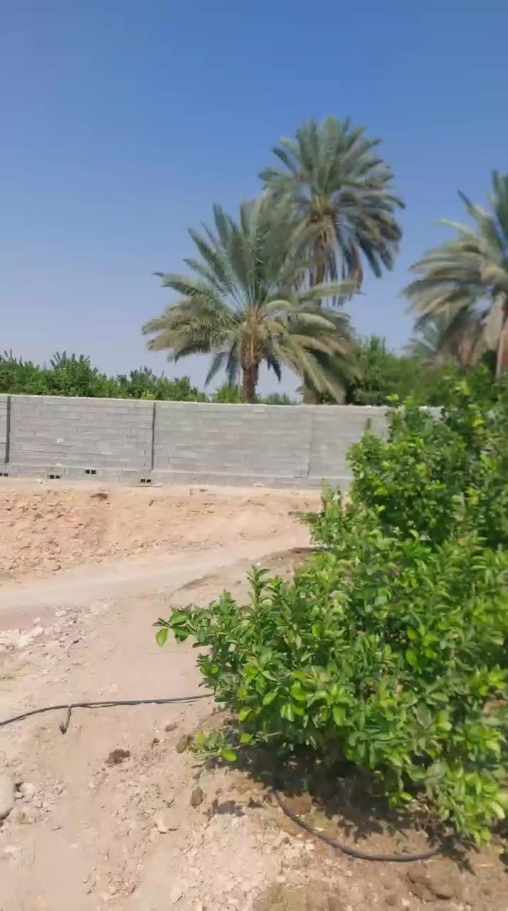 کار پرورش ماهی یا گلخانه مشارکتی|ماهی|جهرم, |دیوار