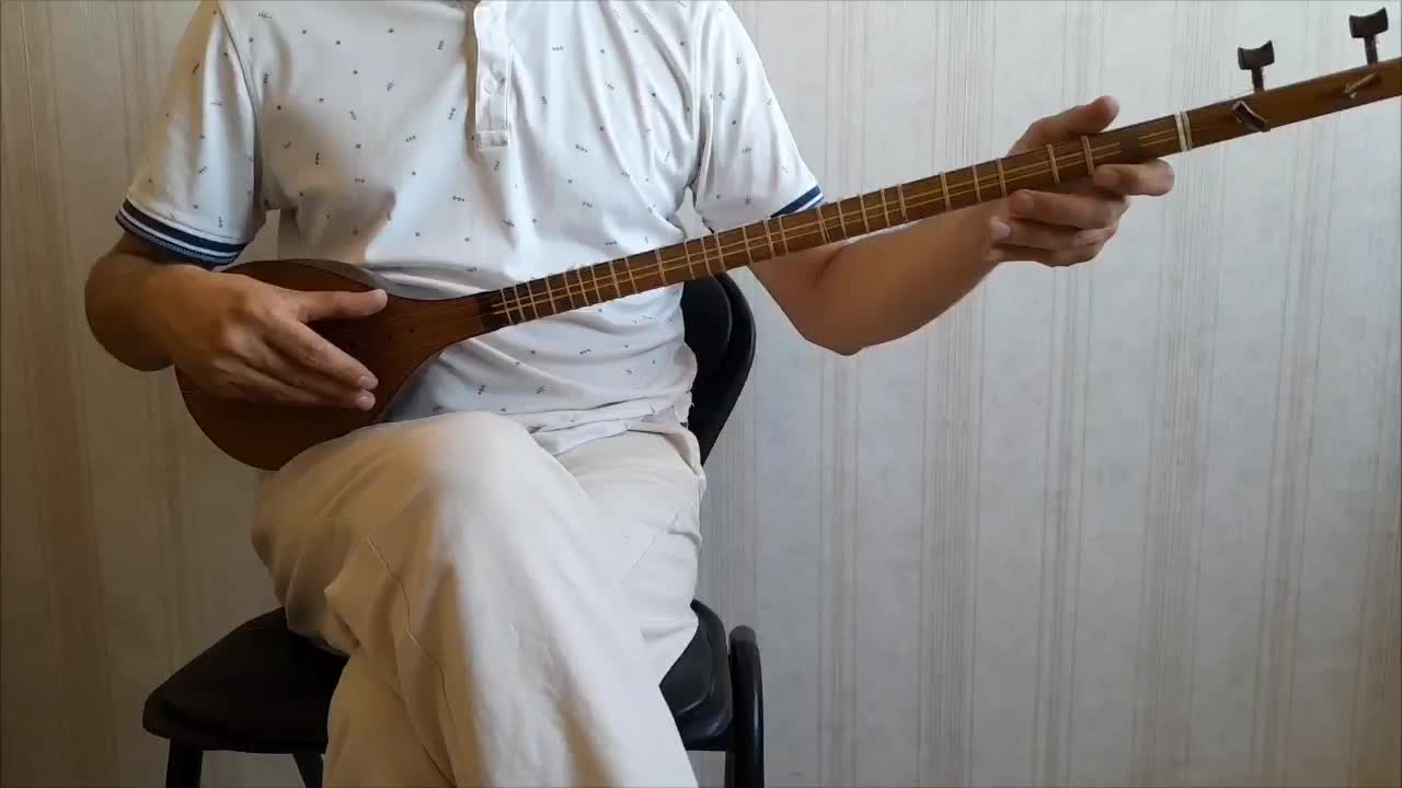 سه تار سارا حرفه ای|سازهای سنتی|تبریز, |دیوار