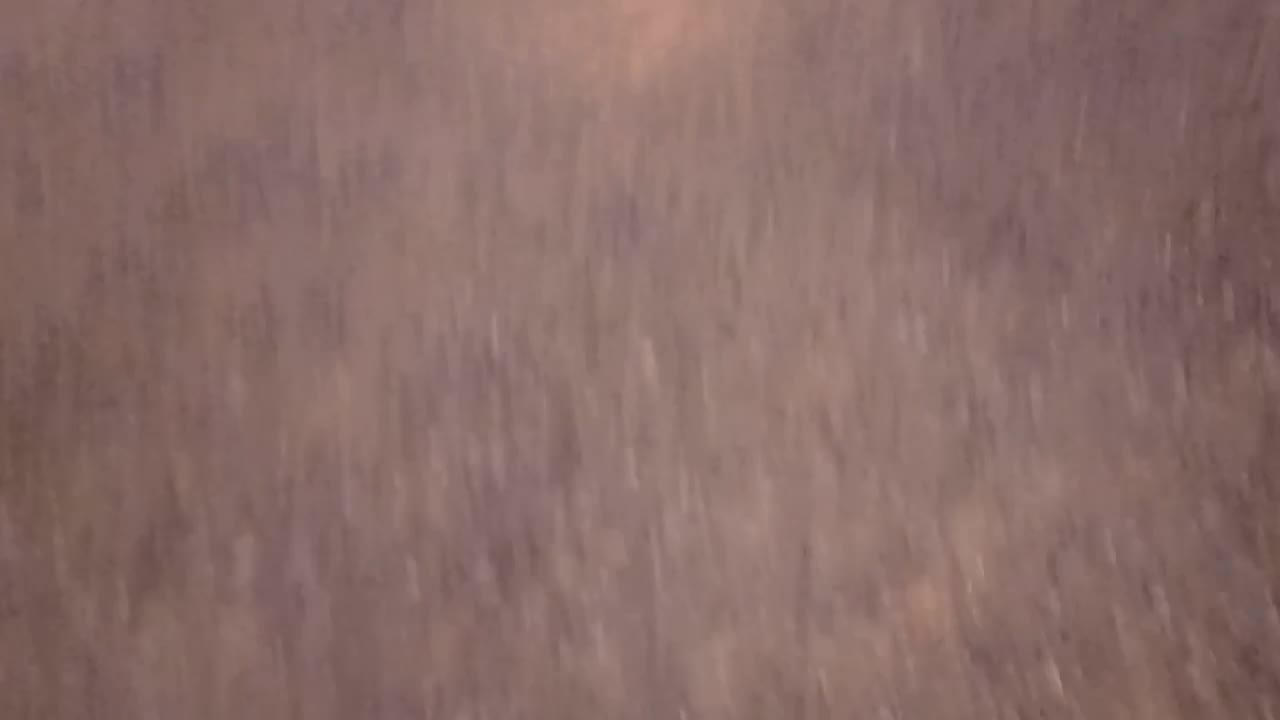 شیش راس میش درجه یک سالم سالم باب نگهداشتن|حیوانات مزرعه|صحنه, |دیوار