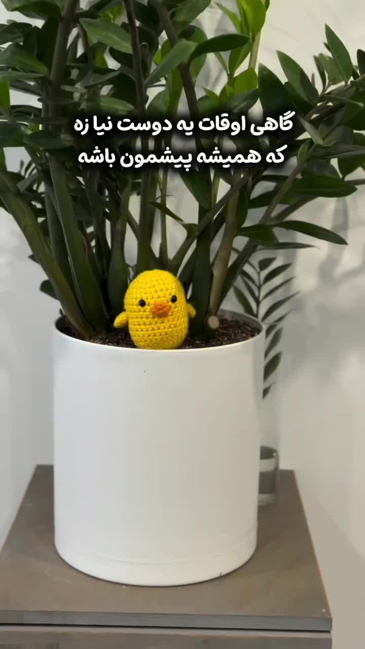 کیت بافتنی جوجو|اسباببازی|تهران, دانشگاه شریف|دیوار