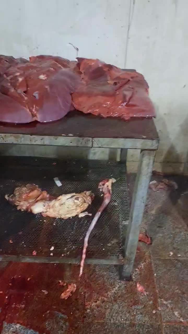 جگر گوساله|خوردنی و آشامیدنی|کرج, مصباح|دیوار