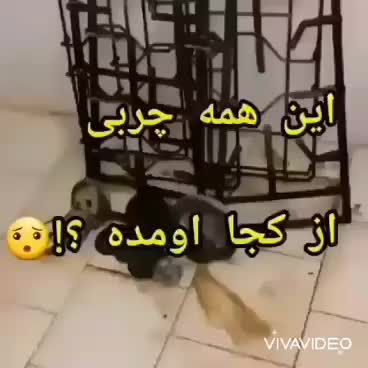 پودر معجزه گر چربی زدای قوی|مواد شوینده و دستمال کاغذی|قم, نیروگاه|دیوار