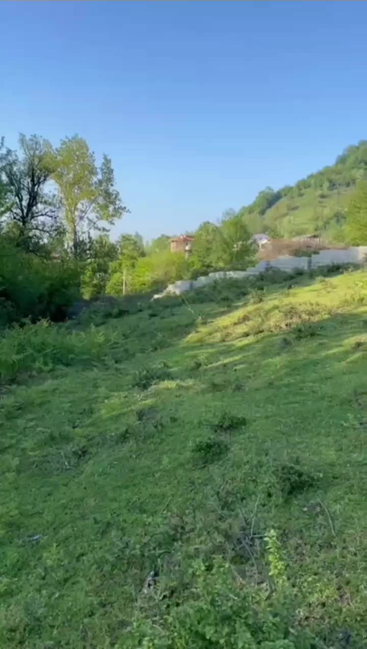 زمین ویلایی/۷۰۰متر/مسکونی/سندتکبرگ/روستای هدول|فروش زمین و ملک کلنگی|آستارا, |دیوار