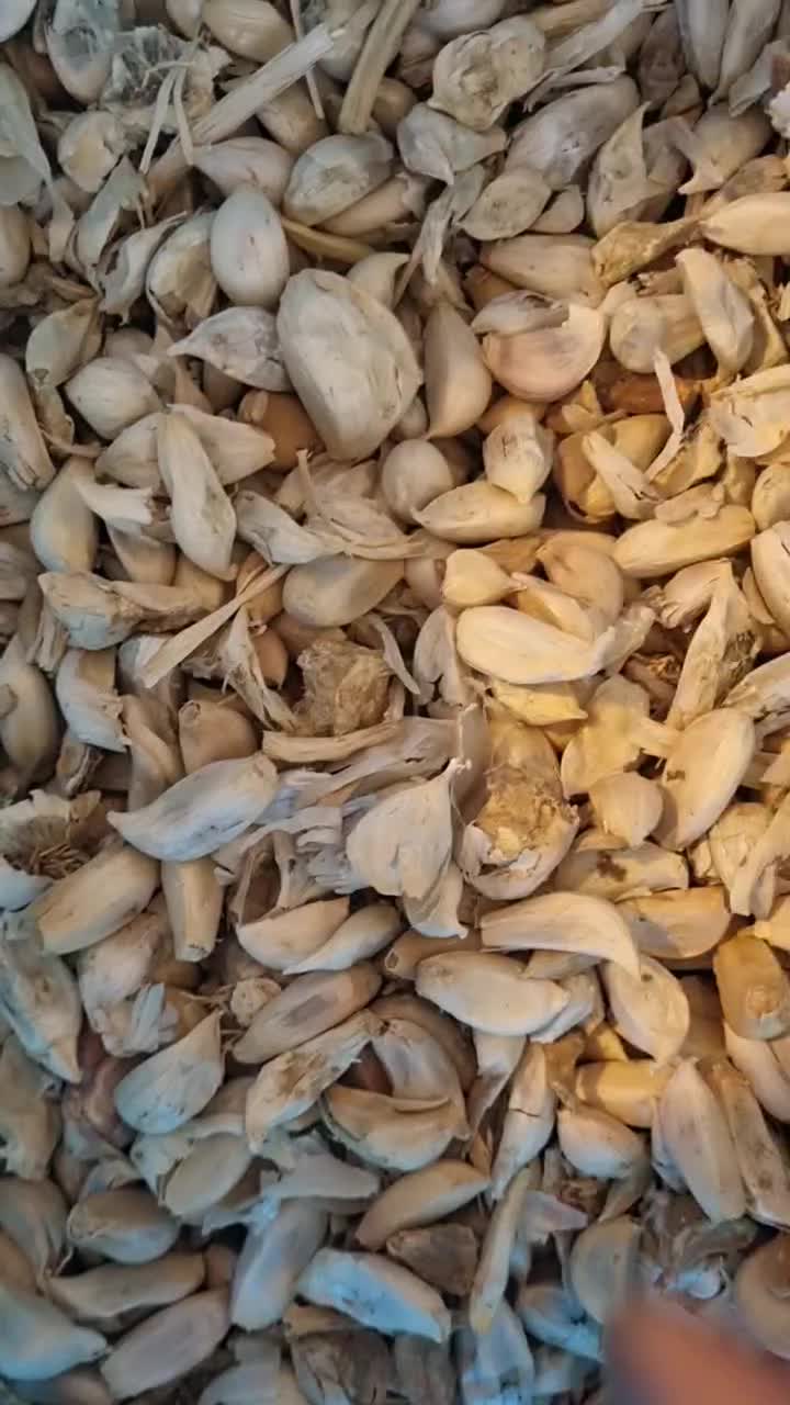 سیر وازد|خوردنی و آشامیدنی|بهار, |دیوار