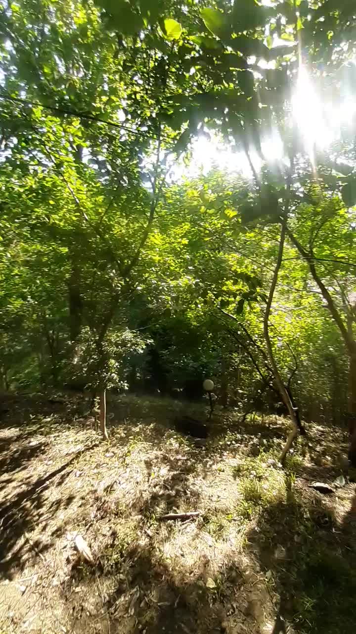 ۳ خوابه رهن کامل|اجارهٔ خانه و ویلا|ماسال, |دیوار